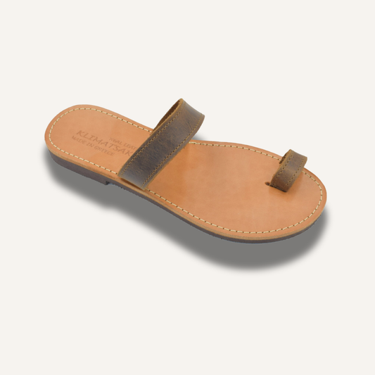 HEDNA BROWN